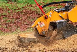 Best Emergency Tree Removal  in Philippi, WV